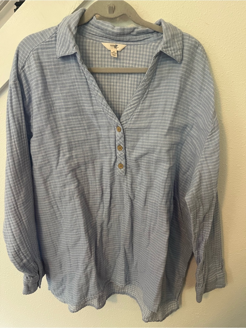 Terra & Sky Light Blue Gingham Button-Up Top